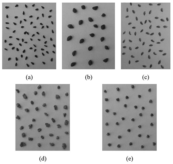 e0206-fig2
