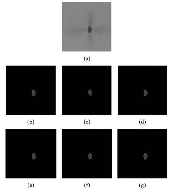 e0206-fig3