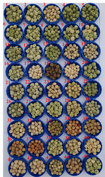 e0701-fig3