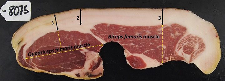 e0604-fig1