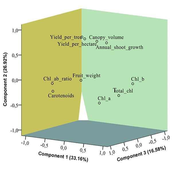 e0801-fig2