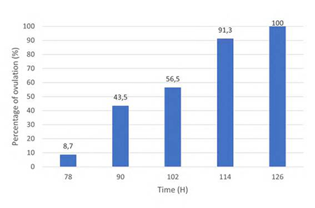 medium/medium-SJAR-22-01-e04SC01-gf1.png